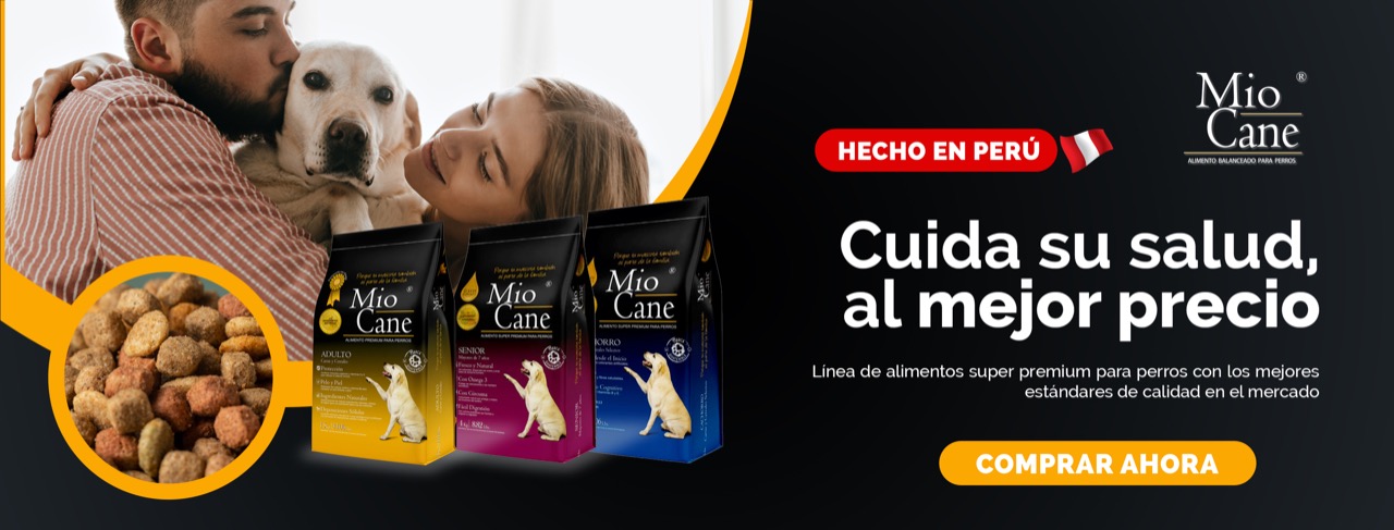 WhatsApp-Image-2022-08-12-at-7.53.00-PM-2