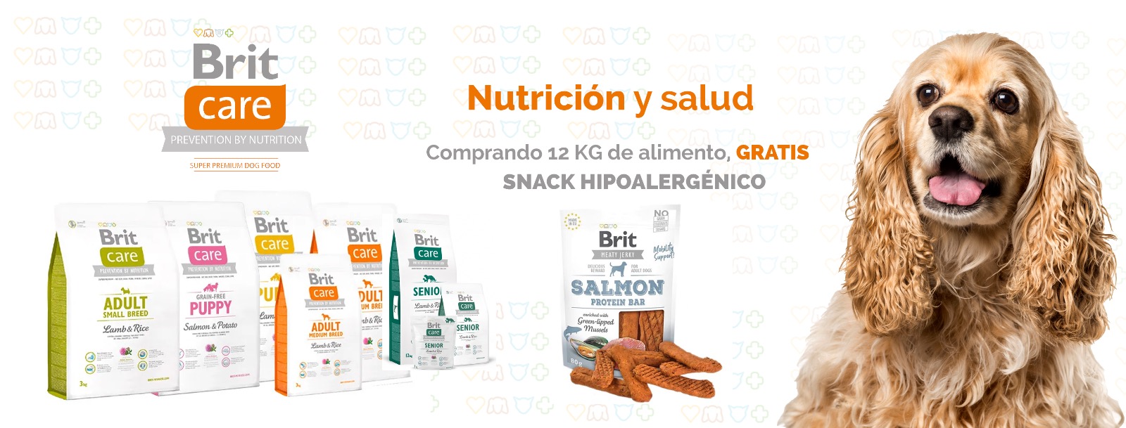 WhatsApp-Image-2023-06-15-at-7.41.00-PM