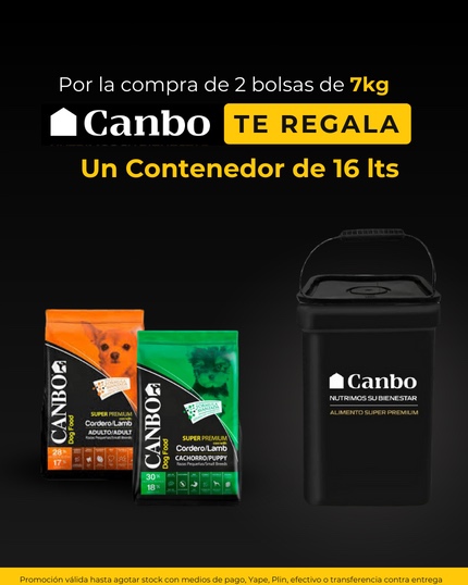 WhatsApp-Image-2024-02-19-at-4.33.21-PM-1