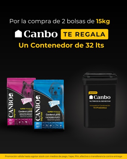 WhatsApp-Image-2024-02-19-at-4.33.21-PM